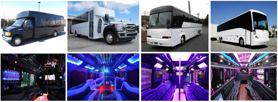 Kids Parties Party buses madison