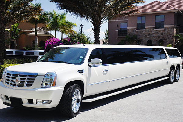 Madison 20 Passenger Limo